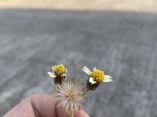 wildpussycat69 live webcam thumbnail