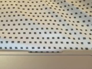willowwilder live webcam thumbnail