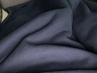 wittinger live webcam thumbnail