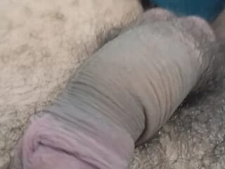Xwz30 live webcam thumbnail