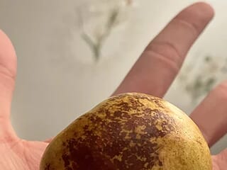 XXxian- live webcam thumbnail