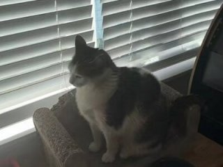 Xxxxhot123 live webcam thumbnail