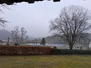 YoungGerman_15cm live webcam thumbnail