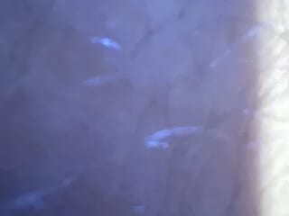 youngcock649 live webcam thumbnail