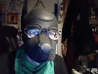 zanepup89 live webcam thumbnail