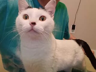 zigzog_ live webcam thumbnail