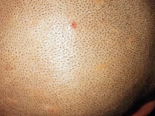 Zodxo live webcam thumbnail